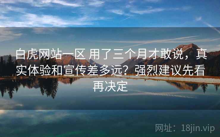 白虎网站一区 用了三个月才敢说，真实体验和宣传差多远？强烈建议先看再决定