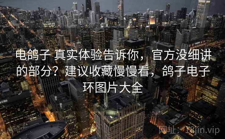 电鸽子 真实体验告诉你，官方没细讲的部分？建议收藏慢慢看，鸽子电子环图片大全