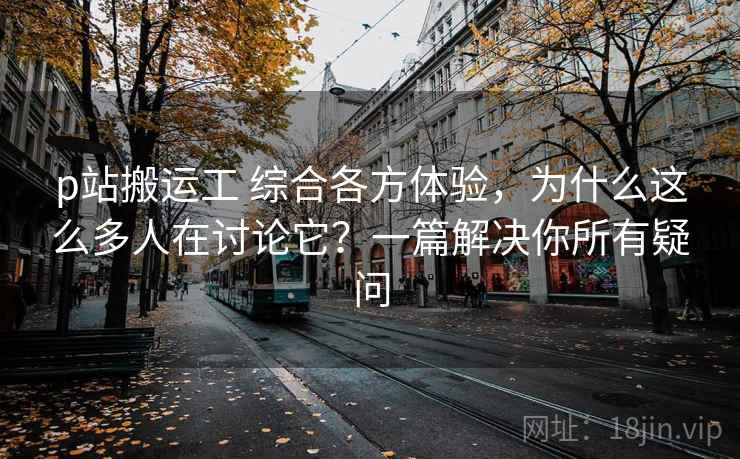 p站搬运工 综合各方体验，为什么这么多人在讨论它？一篇解决你所有疑问