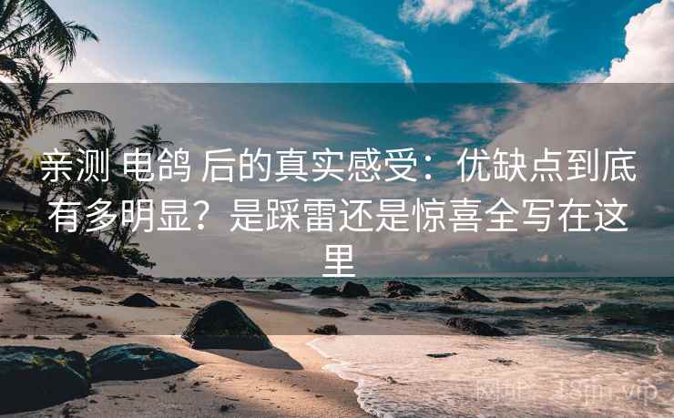 亲测 电鸽 后的真实感受：优缺点到底有多明显？是踩雷还是惊喜全写在这里