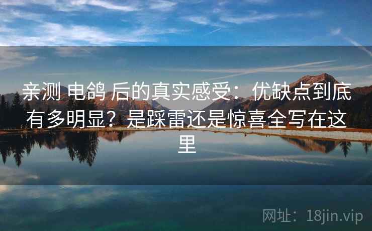 亲测 电鸽 后的真实感受:优缺点到底有多明显?是踩雷还是惊喜全写在这里 亲测 电鸽 后的真实感受:优缺点到底有多明显?是踩雷还是惊喜全写在这里