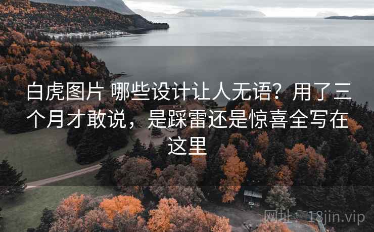 白虎图片 哪些设计让人无语？用了三个月才敢说，是踩雷还是惊喜全写在这里