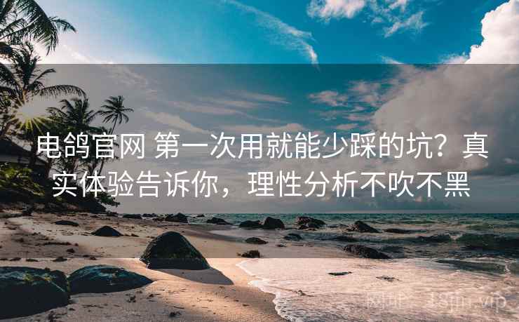 电鸽官网 第一次用就能少踩的坑？真实体验告诉你，理性分析不吹不黑