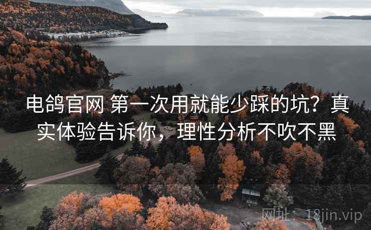 电鸽官网 第一次用就能少踩的坑？真实体验告诉你，理性分析不吹不黑