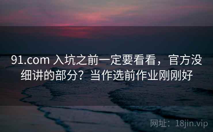 91.com 入坑之前一定要看看，官方没细讲的部分？当作选前作业刚刚好