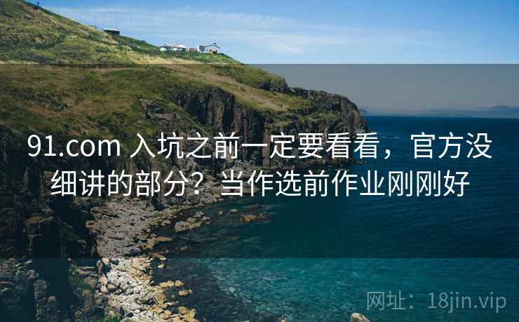 91.com 入坑之前一定要看看，官方没细讲的部分？当作选前作业刚刚好