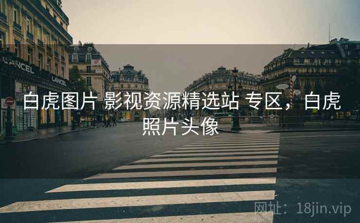 白虎图片 影视资源精选站 专区，白虎照片头像