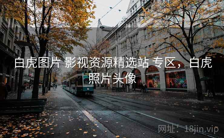 白虎图片 影视资源精选站 专区,白虎照片头像 白虎图片 影视资源精选站 专区,白虎照片头像