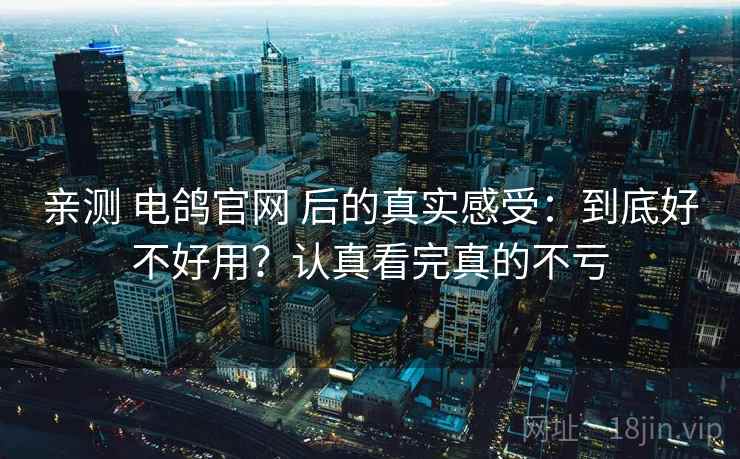 亲测 电鸽官网 后的真实感受：到底好不好用？认真看完真的不亏