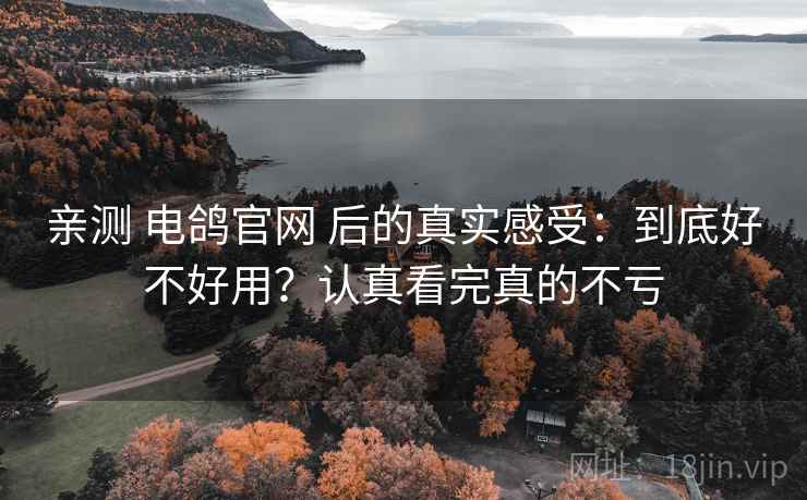 亲测 电鸽官网 后的真实感受:到底好不好用?认真看完真的不亏 亲测 电鸽官网 后的真实感受:到底好不好用?认真看完真的不亏