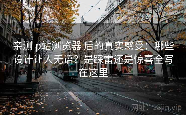 亲测 p站浏览器 后的真实感受：哪些设计让人无语？是踩雷还是惊喜全写在这里