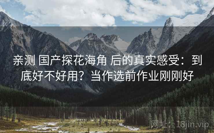 亲测 国产探花海角 后的真实感受：到底好不好用？当作选前作业刚刚好